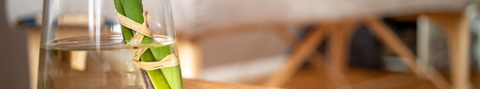 Zentherapie® - Blog